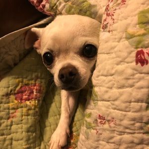 Meet your Posher, Kay